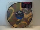 THE CLASH • Combat Rock Picture Disc • 33 rpm • PROMO