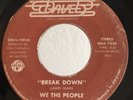 Funk Breaks 45 We The People Break Down on Davel HEAR