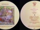 GENESIS 'Selling England By The Pound' 2006 EU vinyl picture-disc LP