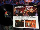 1965 Orig THE STANDELLS   PJ's SUNSET STRIP Raw Garage RARE FIRST LP