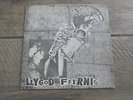 Llygod Ffyrnig - N. C. B. 1978 UK 45 PWDWR 1st PUNK/KBD