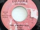 OTIS BROWN-FIND SOMEBOY NEW / SOUND OF THE WIND ON LUJUNA NORTHERN 45