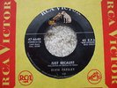 Elvis Presley - Blue Moon / Just Because - RARER LINED 1956 USA 45 47-6640