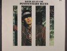 DAVID ALLAN COE: Penitentiary Blues LP (die-cut cover, drill hole) Country