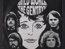 GENTRYS: Wild World / Sunshine 45 (Netherlands, PS w/ sl wear) Rock & Pop