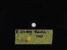 Sluggy Ranks - Unknown 10