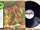 WHITE NOISE Concerto For Synthesizer David Vorhaus RARE 1975 JAPAN ORG OBI PSYCH