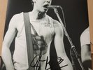 GLEN MATLOCK    -   SEX PISTOLS   -       SIGNED  BW  10x8 PHOTO   -   UACC