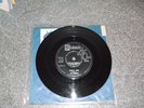 THE TRASHMEN SURFIN  BIRD SURF BEAT ROCK N ROLL