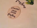 VERY RARE--ORIGINAL 1995  SILVERCHAIR  FROGSTOMP  LP--GREEN LP--NEVER PLAYED