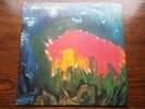 Meat Puppets II 1984 vinyl original 1st SST pressing Nirvana SST-019-A kdisc