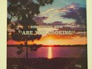 The SOMETHING NEW are you looking LP xian PSYCH rural Christian 1970 Rare KEEPER