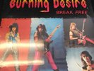 Burning Desire-Break Free Private label Detroit Metal