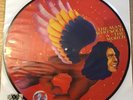 DAVID BOWIE THE MAN WHO SOLD THE WORLD PIC DISC RSD 2016 RECORD STORE DAY