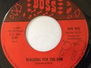 FLORIDA GARAGE ROCK 45 / THE RAVENS / REACHING FOR THE SUN / THINGS / BOSS 003