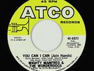 Garage 45 - Mighty Manfred & the Wonderdogs - You Can I Can/She - ATCO VG++ mp3