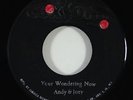 Andy & Joey/Don Drummond 