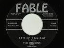 Rockabilly 45 - Tim Dinkins & His Texas Cut Ups - Cattin' Tonight - Fable - mp3