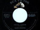 DAVID HOUSTON - SUGAR SWEET / HASTA LUEGO - RCA VICTOR 45RPM (1956)