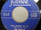 ORIOLES 45 I don't want to take a chance / You belong... JUBILEE Doowop kz510