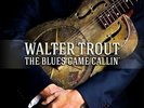 The Blues Came Callin' - TROUT WALTER [2x LP]