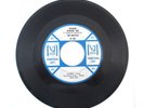 THE BEATLES PLEASE PLEASE ME/ ASK ME WHY WLP PROMO 45 VJ 581