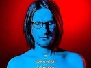 To The Bone (2LP) von Steven Wilson (2017), neu, ungespielt