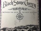 Black Stone Cherry Between The Devil & The Deep Blue Sea Vinyl Lp
