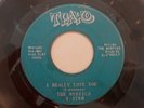 The Mystics I Really Love You 45 RARE CHICAGO NORTHERN SOUL STOMPER ON TEAKO