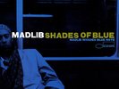 SEALED NEW LP Madlib - Shades Of Blue: Madlib Invades