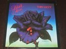 Thin Lizzy rare '79 USA 1st press LP Black Rose on Warner Bros + poster  mint-