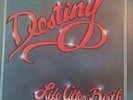 DESTINY - LIFE AFTER BIRTH - RARE PRIVATE PRESSING XIAN FOLK VINYL