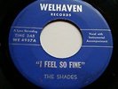 1965 Minnesota 45 THE SHADES I Feel So Fine/ Down The Road A Piece VG+ to VG++