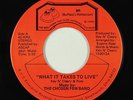 Modern Soul 45 - Chosen Few Band - What It Takes To Live - BR - VG++ mp3 - rare
