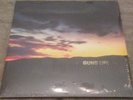 Guns Up 2002-2007 2xLP Blue Minority Unit Down To Nothing Cold World Go It Alone