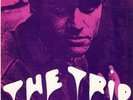 Kim Fowley ?– The Trip (Vinyl)