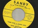 DOOWOP- PETER CRAWFORD & GROUP-  THERE GOES A YOUNG LOVE  -HEAR -1961 SANDY