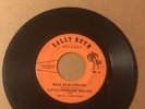 Little Francisco Greaves - Saying Goodbye / Necia De Mi Corazon - Sally Ruth
