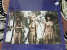 'CUT'  The Slits  Original STILL SEALED   Added single from LP