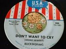 Ferocious Chicago Garage Fuzz Slammer 45 Buckinghams Don't Want to Cry EX HEAR