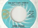 ANDRE WILLIAMS You Got It And I Want It RIC TIC DETROIT  NORTHERN SOUL 45