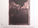 PIXIES   SURFER ROSA NEW SEALED VINYL LP RECORD ALBUM 180g 4AD