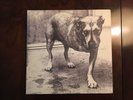 Alice In Chains Vinyl 2xLP Self-Titled 1995 Tripod Grind