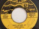 TOMMY MCCOOK - DON'T BOTHER ME - ND ( SKA INST )