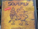 Soulfly - Prophecy / 2LP (MOVLP2147) limited gold & black mixed, etched