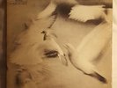 DONALD BYRD   Free Form 1st Press Blue Note BST 84118 Herbie Hancock Van Gelder