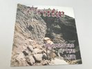 Griffin – Protectors Of The Lair, Vinyl, Steamhammer, US Metal, Manilla Road