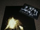 Wolf Alice - My Love Is Cool 2 x Vinyl LP Ltd Edition GOLD with Signed Postcard