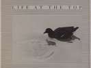 LIFE AT THE TOP: Third Mind Industrial Comp, Bushido Coil Et al w/ Insert LP