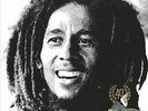 Bob Marley and The Wailers : Kaya VINYL 40th Anniversary  12